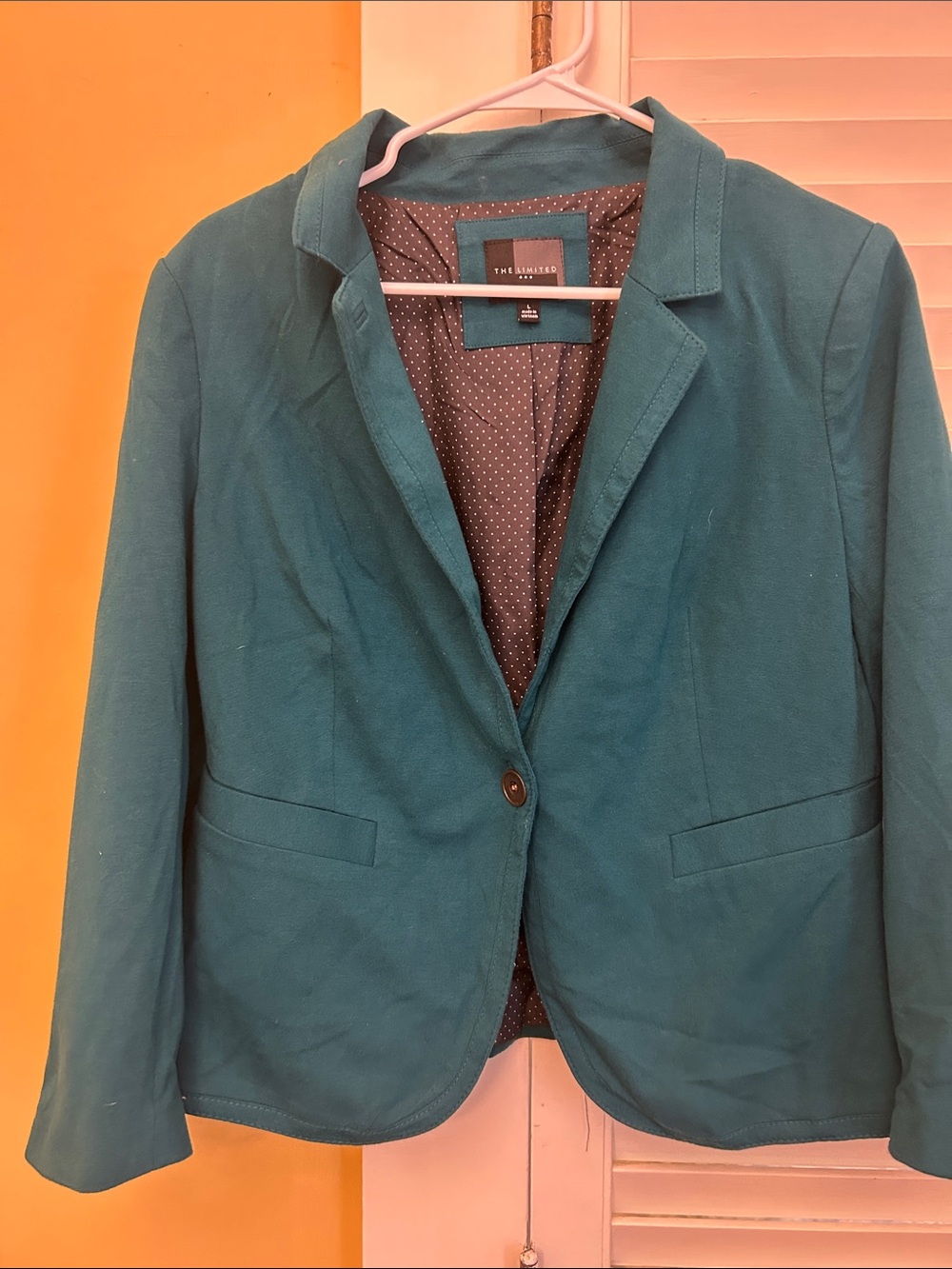 The Limited Teal Single-Button Blazer